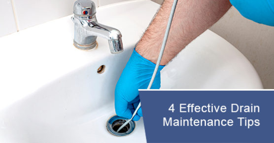 Effective drain maintenance tips