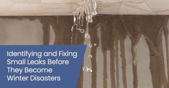 Identifying and fixing small leaks before they become winter disasters